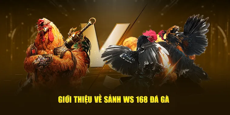 Tham Gia Đá Gà WS168 M88 Để Nhận Thưởng Lớn Hôm Nay 2 Tham Gia Đá Gà WS168 M88 Để Nhận Thưởng Lớn Hôm Nay