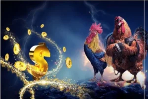 Tham Gia Đá Gà WS168 M88 Để Nhận Thưởng Lớn Hôm Nay