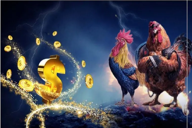 Tham Gia Đá Gà WS168 M88 Để Nhận Thưởng Lớn Hôm Nay
